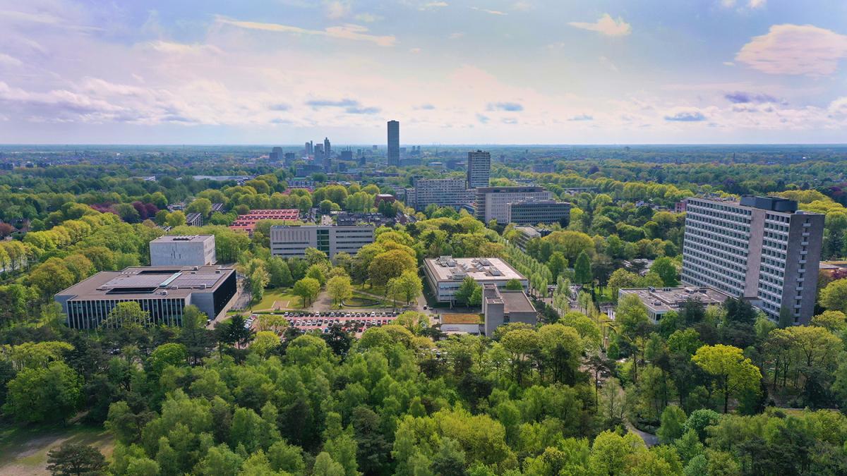 Навчання у Tilburg University
